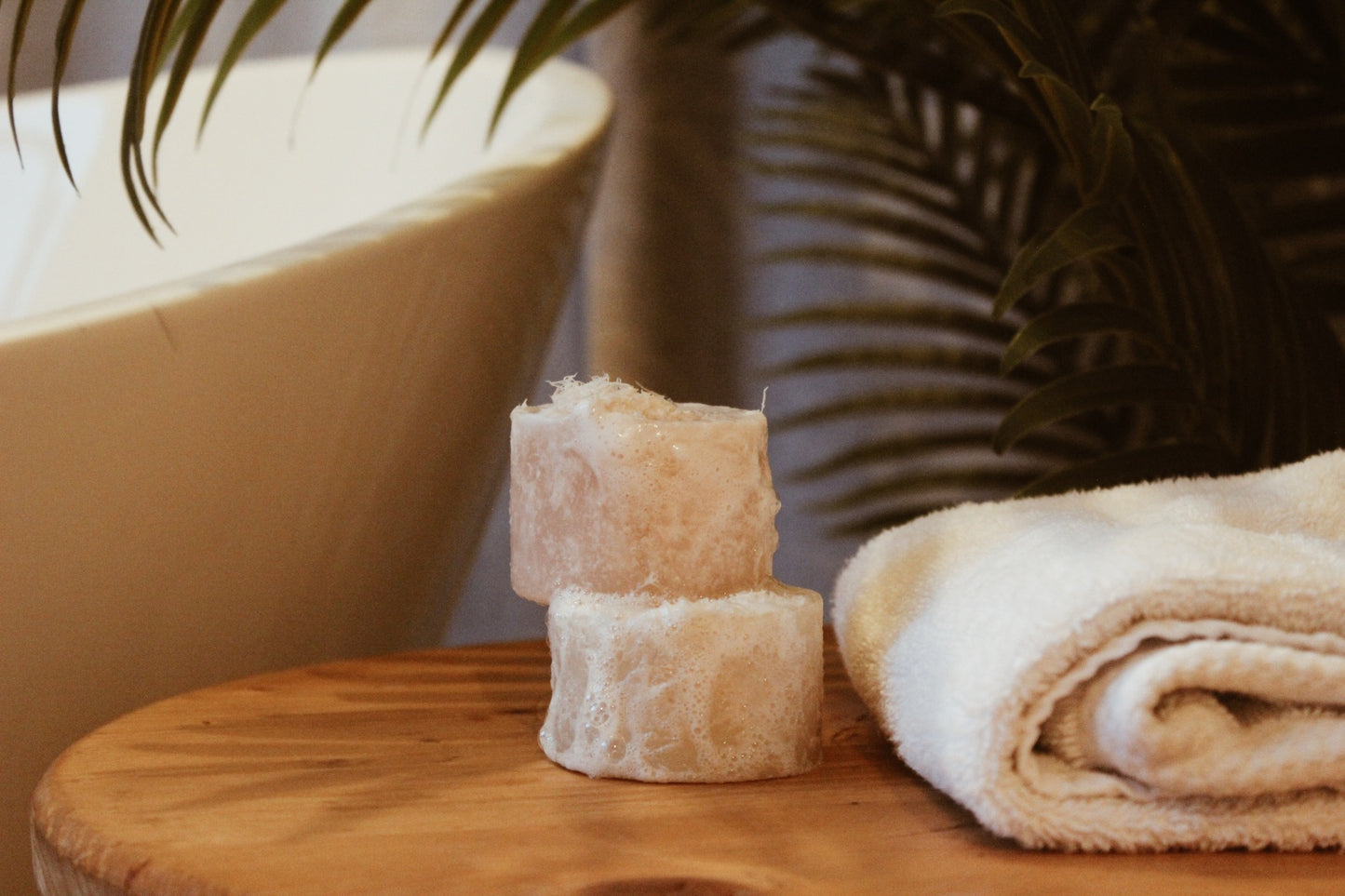Loofah soaps